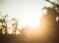 Τι είναι το Lens Flare; 