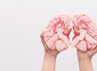 Τι είναι το Corpus Callosum; Τι κάνει το Corpus Callosum; 