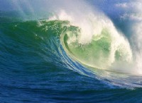 Τι κάνει ένα Wave Go Rogue; 