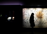 Ένα γρήγορο τέλος χτυπά τη συζήτηση για την εξαφάνιση των δεινοσαύρων 