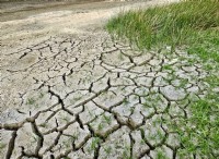Μέτρηση των αντιδράσεων του οικοσυστήματος στη διαθεσιμότητα νερού:Πόσο ξηρό είναι πολύ ξηρό για να εμποδίσει την εξατμισοδιαπνοή; 