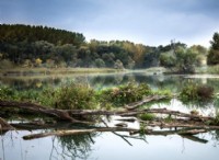 Ο νόμος για το καθαρό νερό έχει μειώσει δραματικά τη ρύπανση τις τελευταίες τέσσερις δεκαετίες 