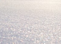 Πώς οι ροές CO2 του εδάφους του χειμώνα ανταποκρίνονται στο μεταβαλλόμενο βάθος χιονιού σε ένα εύκρατο δασικό οικοσύστημα 