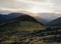 Πείραμα από Αρκτική σε Ισημερινό δείχνει ότι οι σπόροι είναι πιο πιθανό να καταναλωθούν στους τροπικούς και τις πεδιάδες 