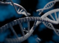 Δεοξυριβονουκλεϊκό οξύ (DNA) 