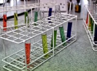 Ποια είναι η διαφορά μεταξύ βιοχημικών και κυτταρικών δοκιμασιών 