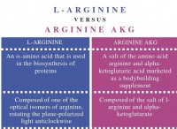 Ποια είναι η διαφορά μεταξύ L Arginine και Arginine AKG 
