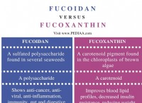 Ποια είναι η διαφορά μεταξύ Fucoidan και Fucoxanthin 