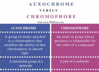 Ποια είναι η διαφορά μεταξύ Auxochrome και Chromophore 