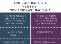 Διαφορά μεταξύ Acid Fast και Non Acid Fast βακτηρίων 