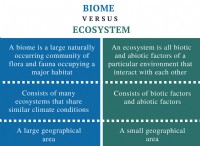 Διαφορά μεταξύ Biome και Ecosystem 