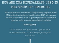 Πώς χρησιμοποιούνται οι μικροσυστοιχίες DNA στη μελέτη της γονιδιωματικής 