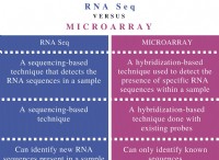 Διαφορά μεταξύ RNA Seq και Microarray 