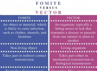 Ποια είναι η διαφορά μεταξύ Fomite και Vector 