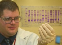 Ποια είναι η διαφορά μεταξύ του προφίλ DNA και της αλληλουχίας DNA 