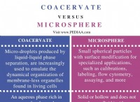 Ποια είναι η διαφορά μεταξύ Coacervate και Microsphere 