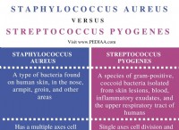 Ποια είναι η διαφορά μεταξύ Staphylococcus Aureus και Streptococcus Pyogenes 