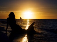Mermaids:Exploring the History and Mystery of Sea Creature Sightings 