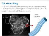 Unraveling Turbulence:New Insights from Vortex Physics 