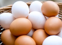 Brown vs. White Eggs:Ποια είναι η πραγματική διαφορά; - [Το εμπορικό σας όνομα] 